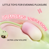 Bohnenvibrator Springendes Ei Weiblicher einführbarer Klitoris-Orgasmus-Masturbator