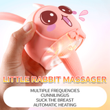 Bobo Rabbit Sexy Bruststimulation Brustmassagegerät Lecksauger